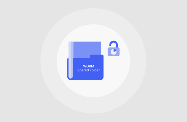 Figure 1: Store critical data in WORM storage, preventing files from being modified, overwritten, or deleted for a certain period of time.