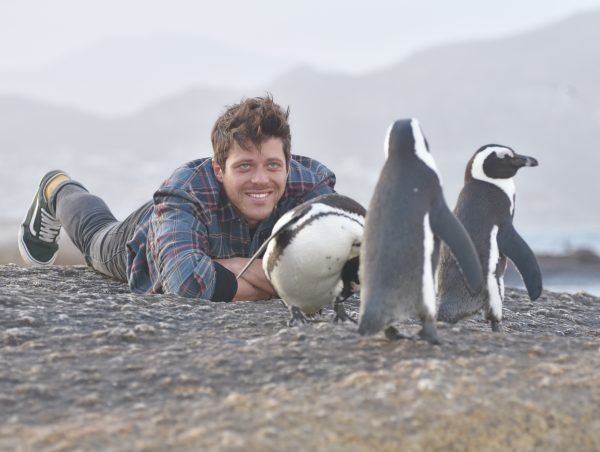 Dr. Sylvain Studying Penguins
