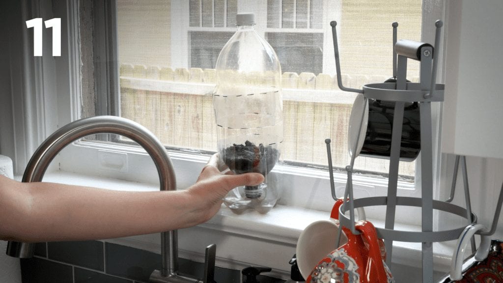 Fasten the top of the second soda bottle on top and place the greenhouse in a window with good sunlight.
