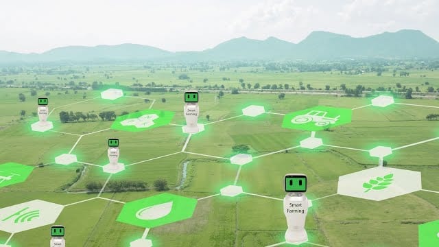 From Farm to Table: Bringing AI into an Enterprise