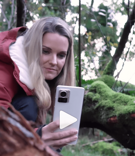 Cat Capon Expedition