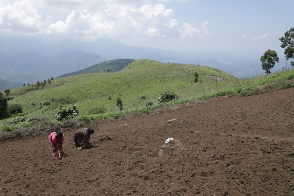 People farming hills in India
