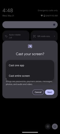 The option to Cast the entire Google Pixel 9 screen or a specific application