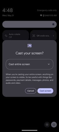 The Google Pixel 9 Cast screen option