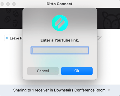 Ditto Connect app showing a prompt to enter a YouTube link