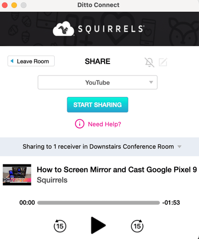 Ditto YouTube video streaming playback controls